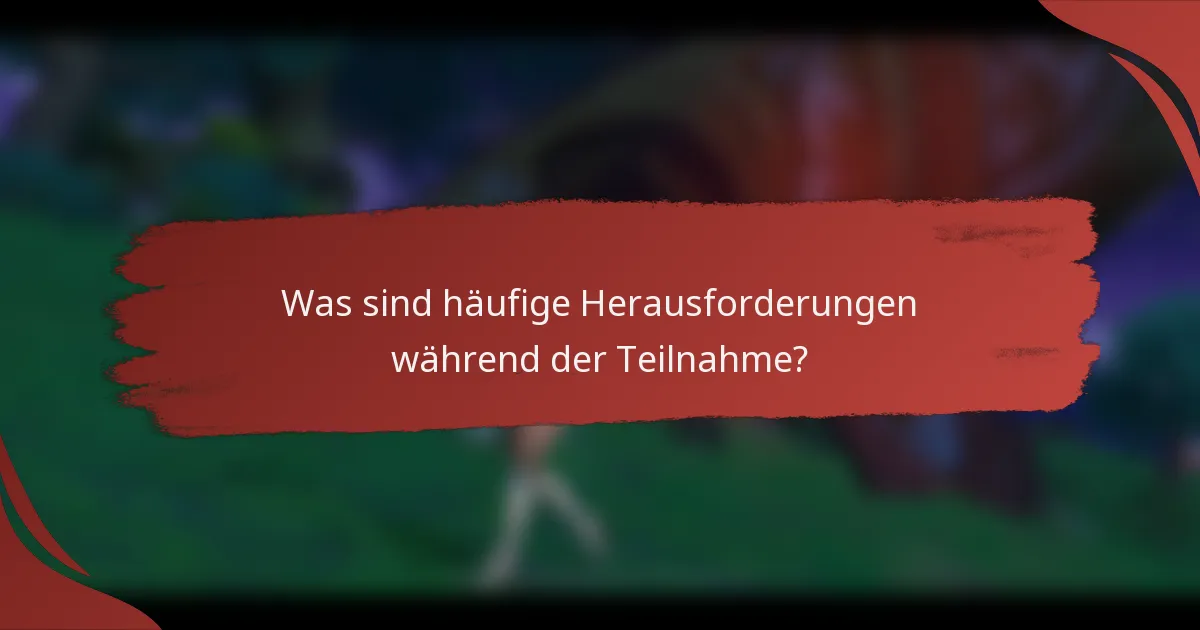 Was sind häufige Herausforderungen während der Teilnahme?