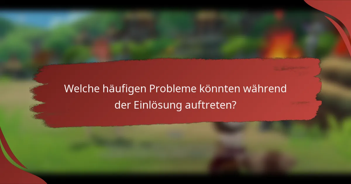 Welche häufigen Probleme könnten während der Einlösung auftreten?
