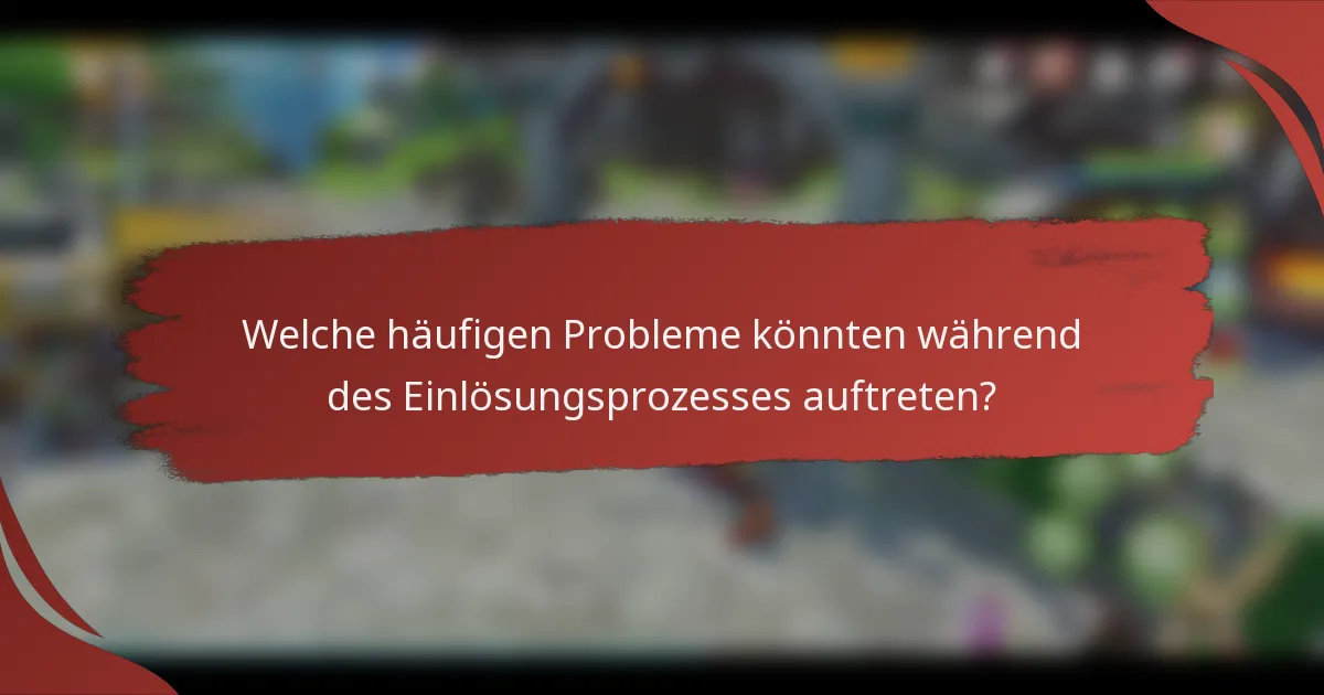 Welche häufigen Probleme könnten während des Einlösungsprozesses auftreten?